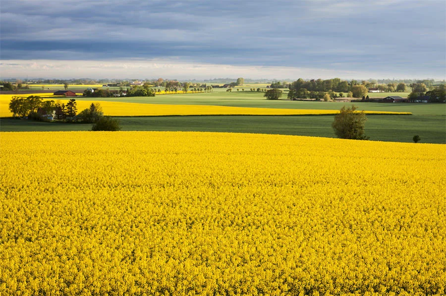 om bygg skurup skane